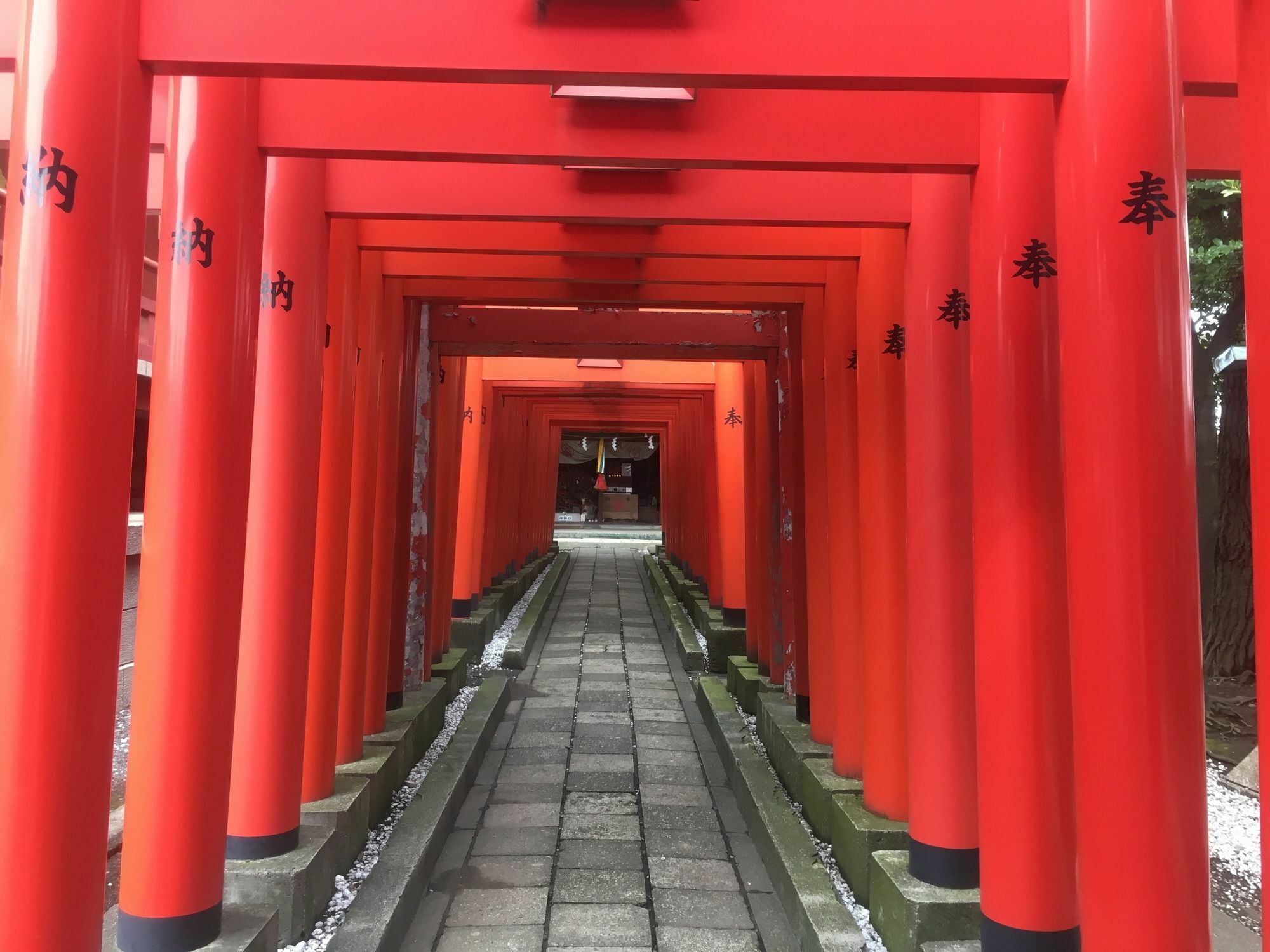 東京都 日本深夜特急旅馆酒店 外观 照片
